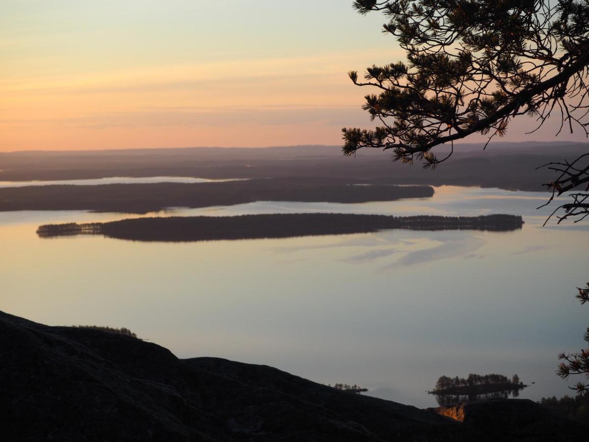 Aava Koli Villa Kolinkylä Dış mekan fotoğraf